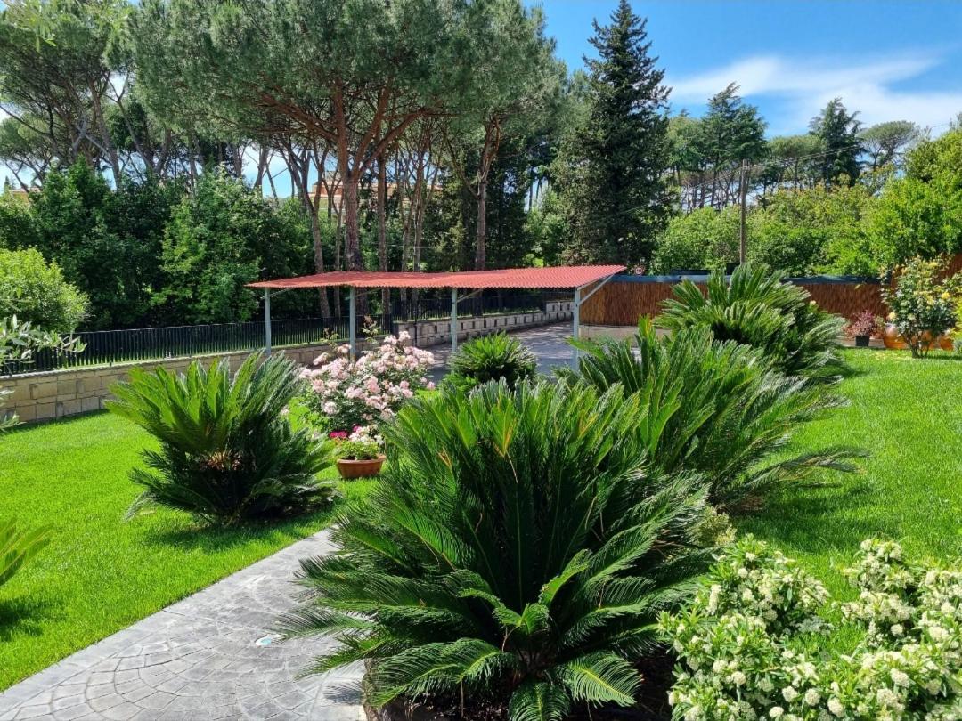 Il Casale Nel Parco Guesthouse — Foto 1